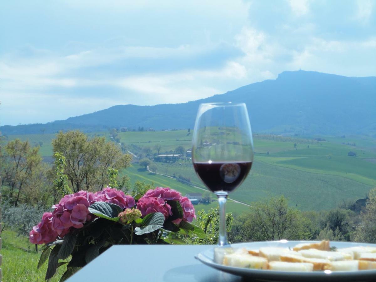 Agriturismo Il Vecchio Acero Διαμέρισμα Montalto delle Marche Εξωτερικό φωτογραφία