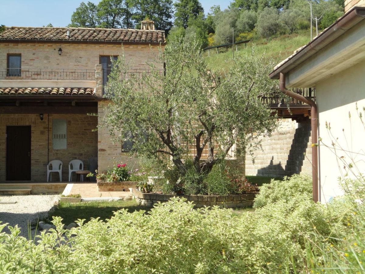 Agriturismo Il Vecchio Acero Διαμέρισμα Montalto delle Marche Εξωτερικό φωτογραφία