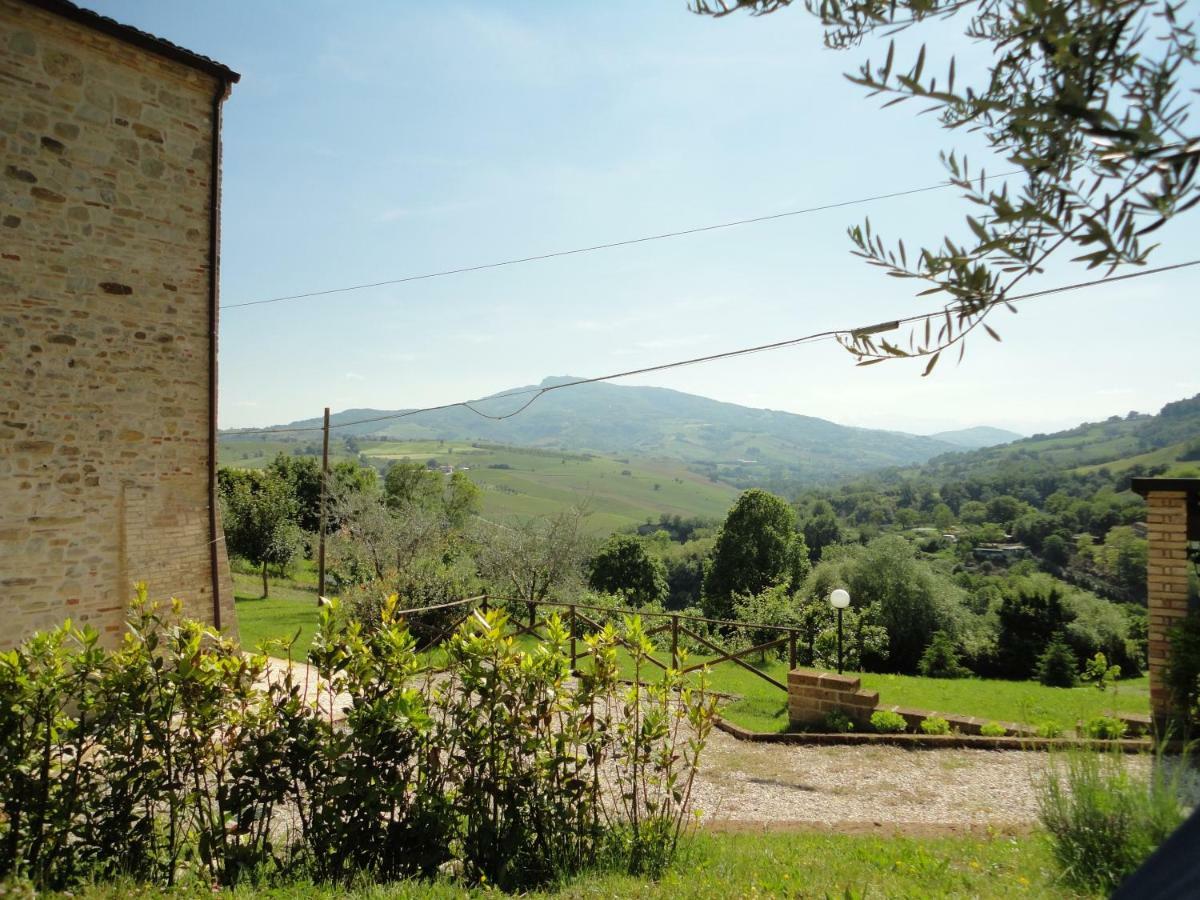 Agriturismo Il Vecchio Acero Διαμέρισμα Montalto delle Marche Εξωτερικό φωτογραφία