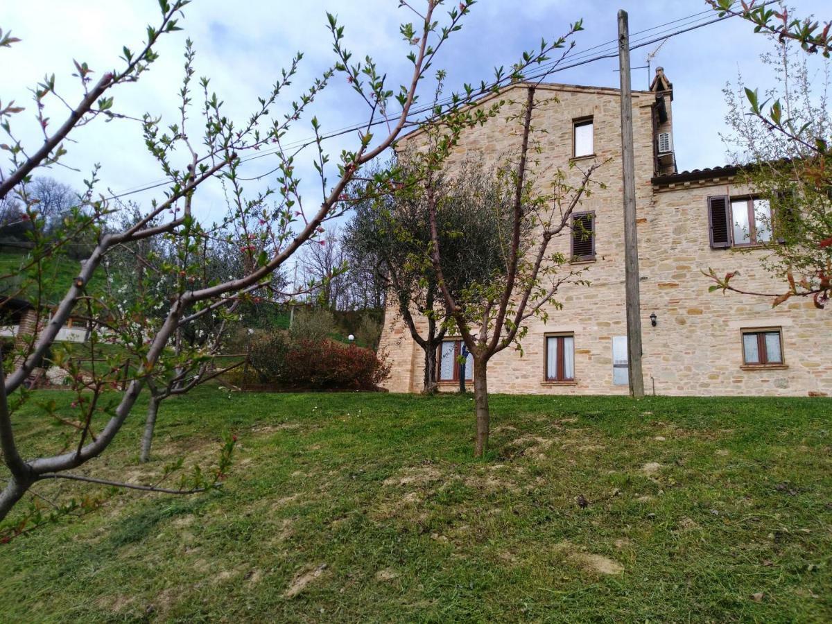 Agriturismo Il Vecchio Acero Διαμέρισμα Montalto delle Marche Εξωτερικό φωτογραφία