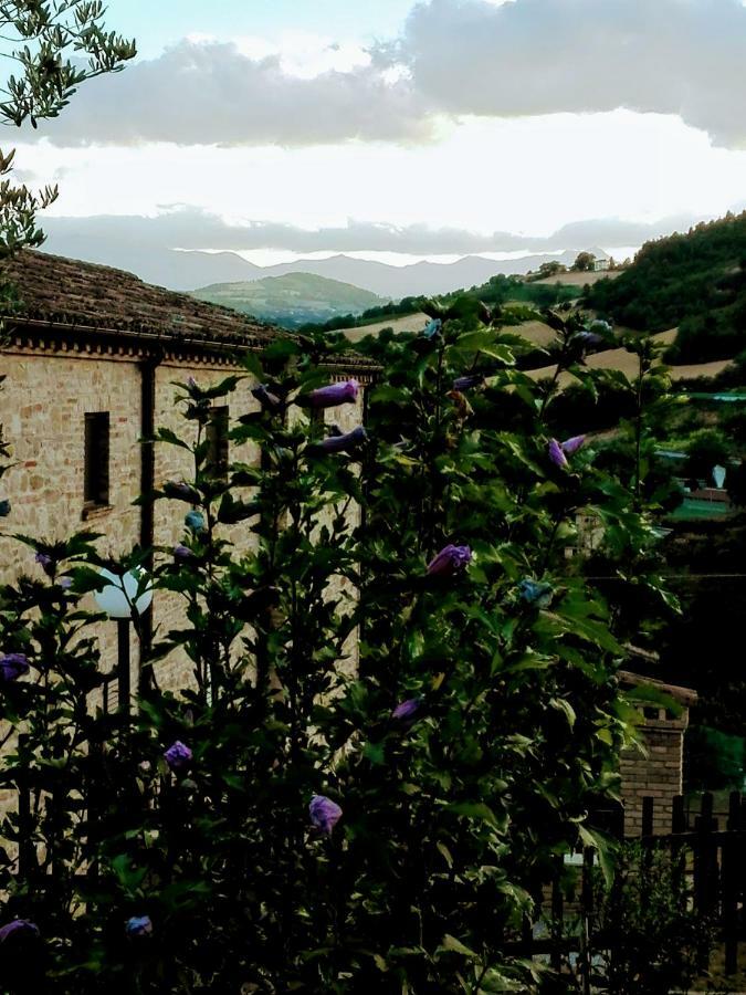 Agriturismo Il Vecchio Acero Διαμέρισμα Montalto delle Marche Εξωτερικό φωτογραφία