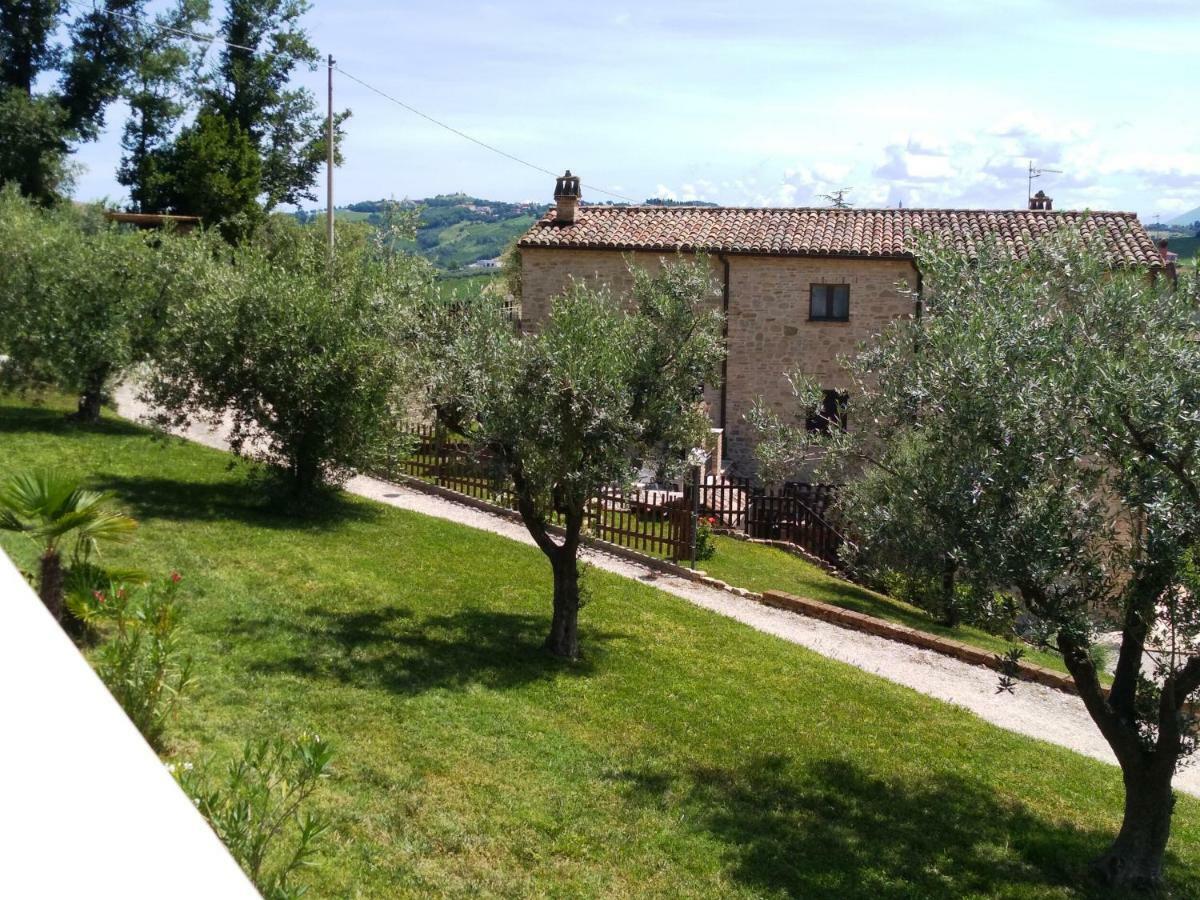 Agriturismo Il Vecchio Acero Διαμέρισμα Montalto delle Marche Εξωτερικό φωτογραφία