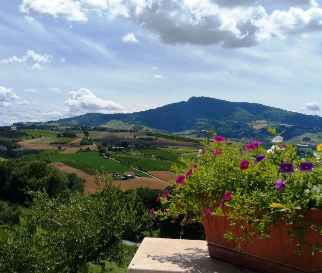 Agriturismo Il Vecchio Acero Διαμέρισμα Montalto delle Marche Εξωτερικό φωτογραφία