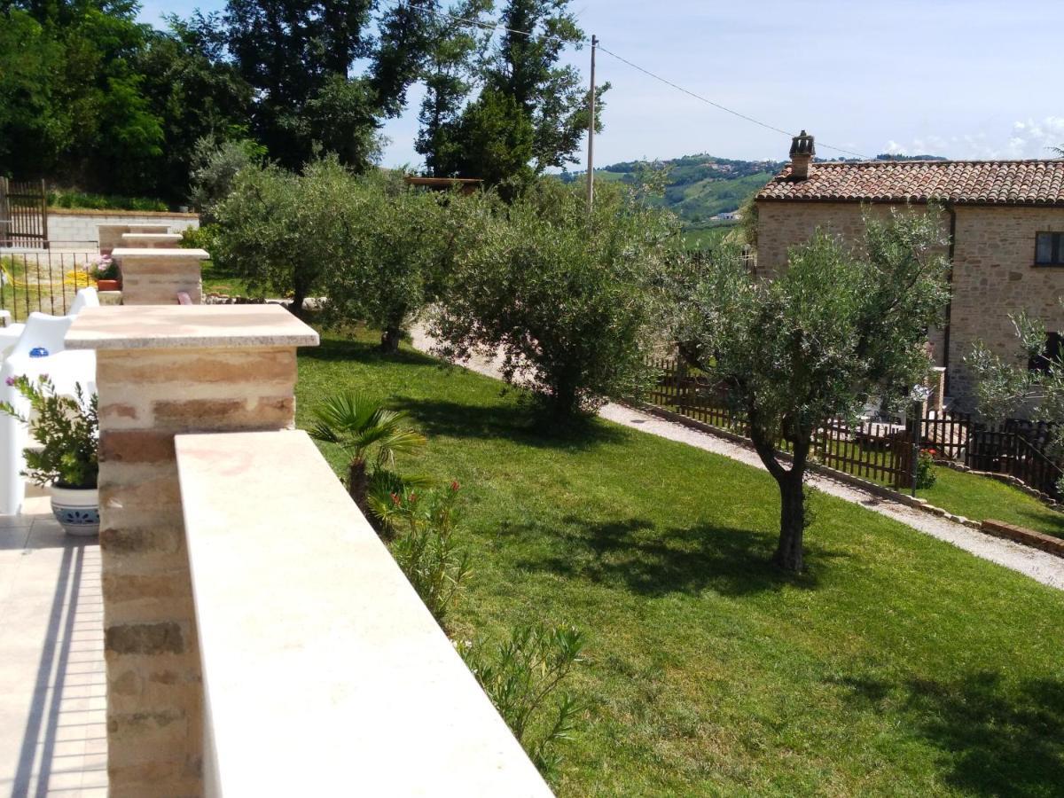 Agriturismo Il Vecchio Acero Διαμέρισμα Montalto delle Marche Εξωτερικό φωτογραφία