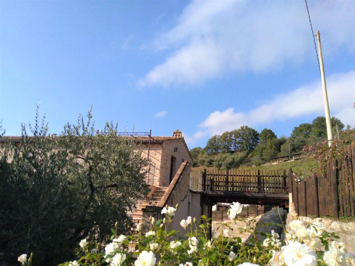 Agriturismo Il Vecchio Acero Διαμέρισμα Montalto delle Marche Εξωτερικό φωτογραφία